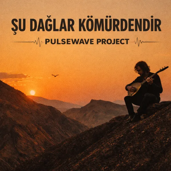 Şu dağlar kömürdendir