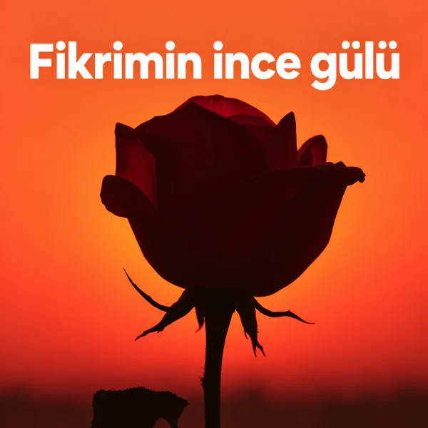 Fikrimin İnce Gülü — Dervişler kapağı